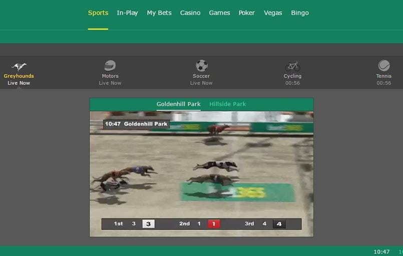 virtual greyhound betting with bet365