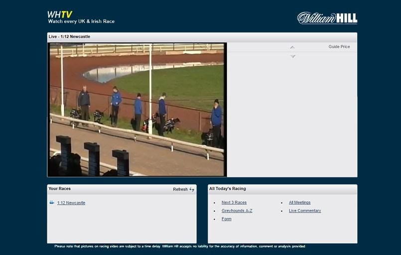 live streaming greyhounds with william hill