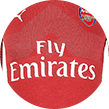 Arsenal soccer shirt.
