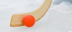 A close-up of a bandy stick