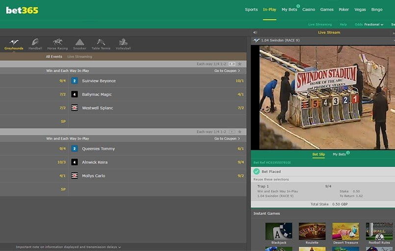 live greyhounds stream at bet365