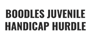 Boodles Juvenile Handicap Hurdle logo