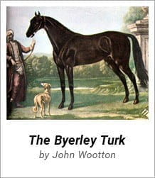 Byerley Turk - One of the first three stallions from which the modern day thoroughbred bloodstock is derived