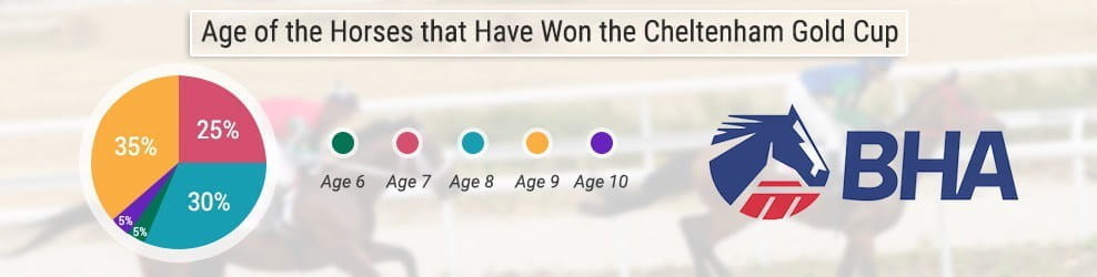 A record of the age of the horses that have won the Cheltenham Gold Cup between the years 1996 - 2016
