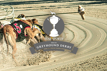 English Greyhound Derby Betting Sites