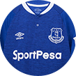 Everton soccer shirt.