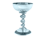 An award-style emblem showing the Grand National champions trophy