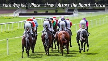 18+ Horse racing betting options explained best tips 