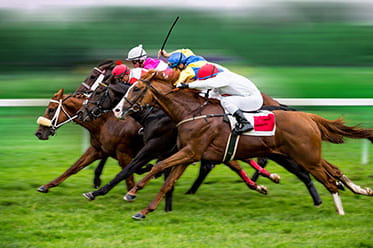 Horse Racing Betting Sites 