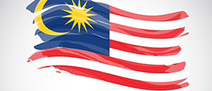 The national flag of Malaysia