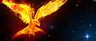 Picture of a phoenix