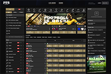 Thumbnail for the Pub Sports Homepage