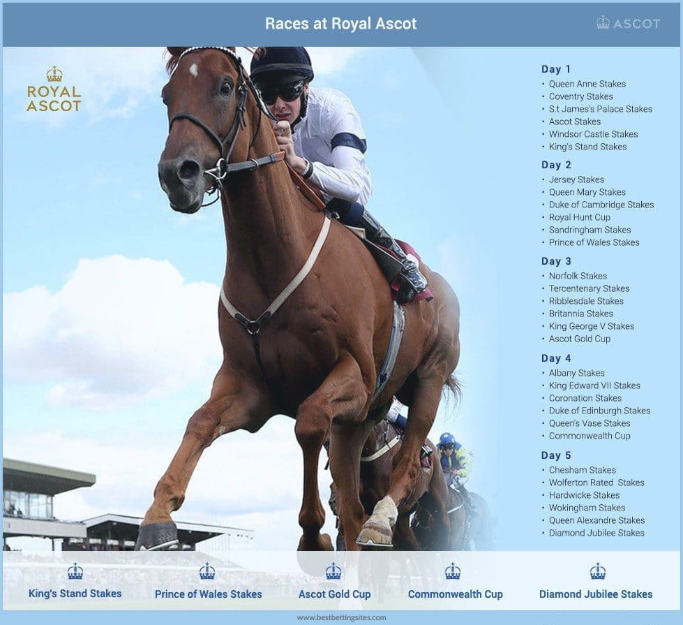 Best Horse Races to Bet On All Major Horse Racing Events in the World