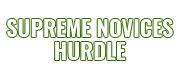 Supreme Novices Hurdle logo