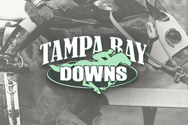 Tampa Bay Downs Betting Sites