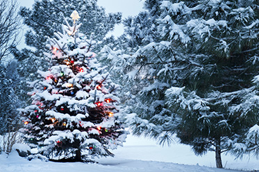 The top White Christmas betting sites