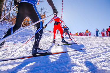 Cross country skiers race up a hill.