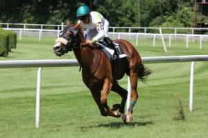 A jockey riding a horse at a racetrack