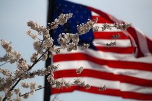 US flag behind some branches