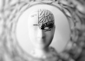 Model of a brain