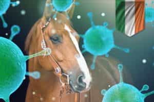 Two stables in Ireland quarantined over Equine flu fears