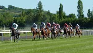 Horses during a race