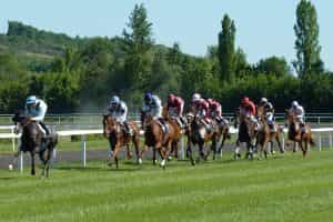 Horses during a race