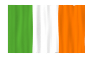 The Irish flag