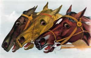 3 horses