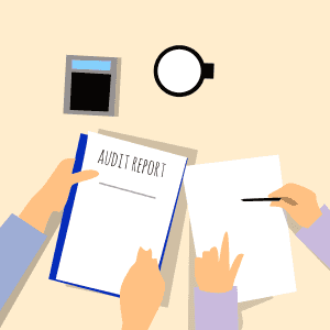 Audit report