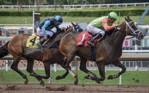 Horses racing