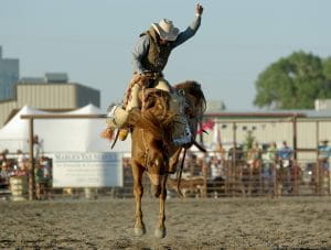 Cowboy