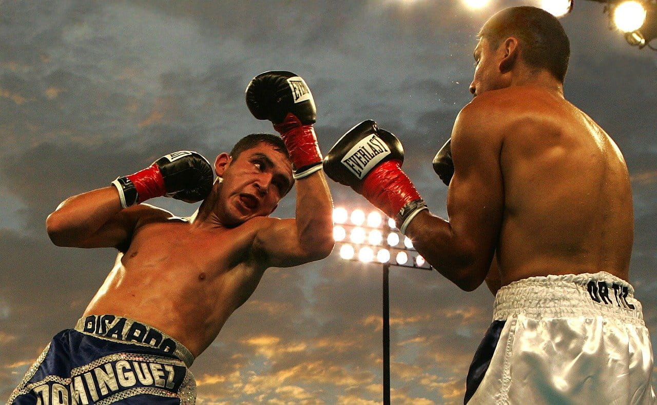 two boxers