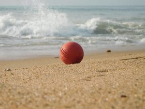cricket ball picture