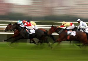 horses racing