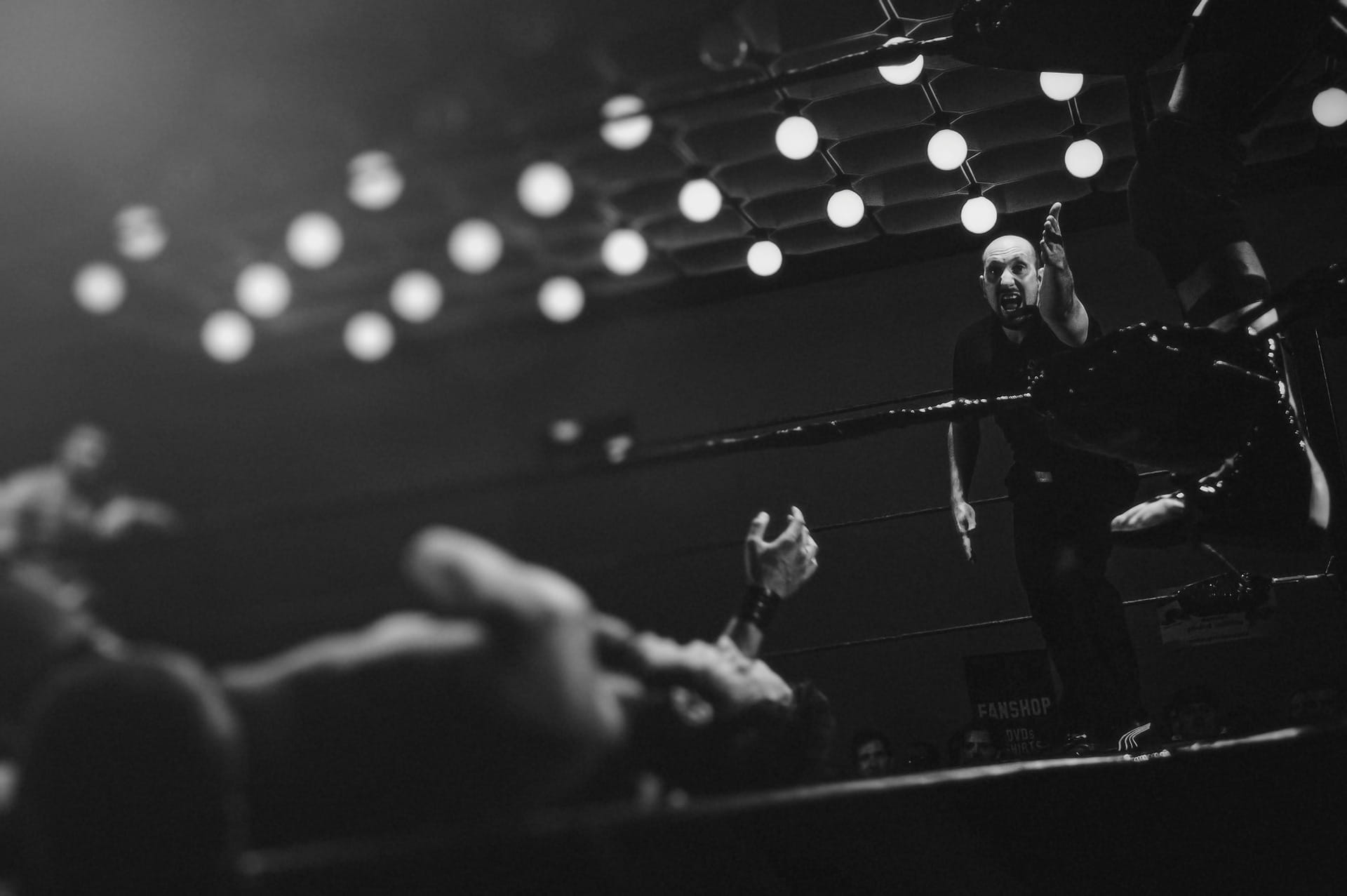 boxing fight