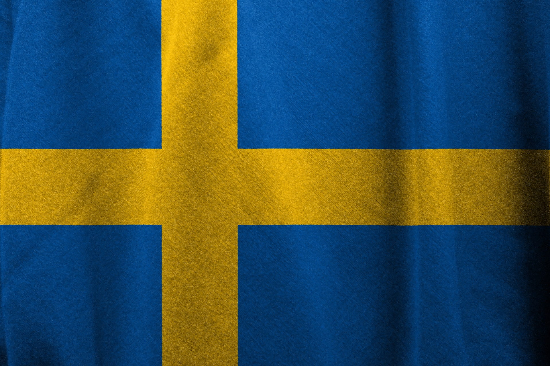 Знакомство Со Шведской