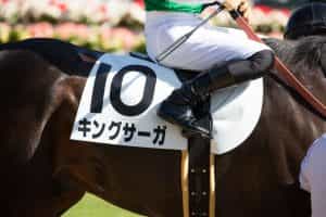 A close-up of a saddle cloth on a racehorse at Japan’s Kyoto Racecourse. 