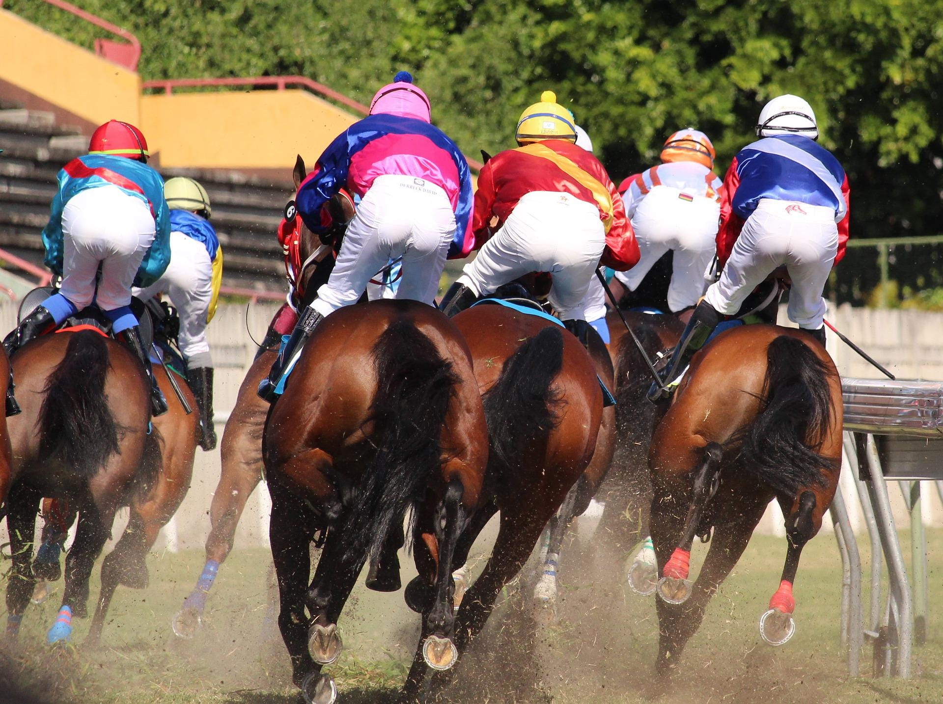 Several horses are racing on a track with jockeys in bright colours