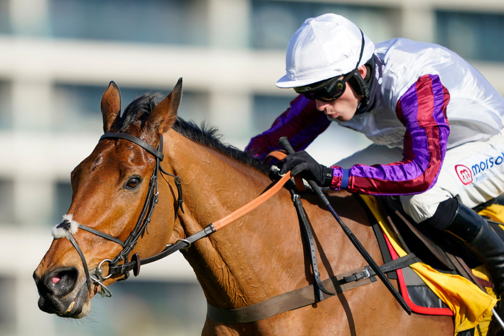 Bravemansgame menang di Newbury Racecourse pada tahun 2022.