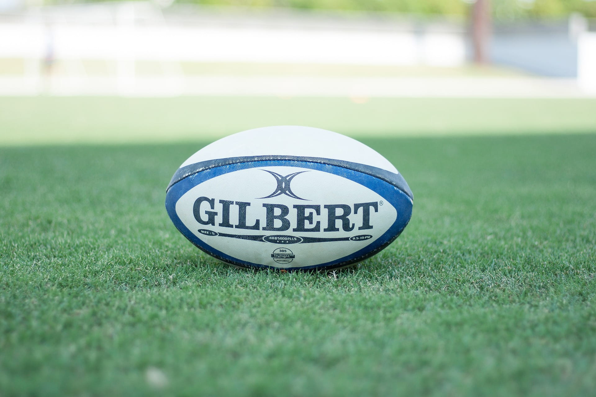 Gambar bola rugby