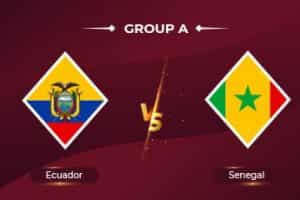 Ecuador v Senegal World Cup