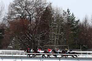 Runners and riders in action at a snowy Lingfield Park.