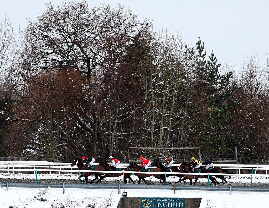 Runners and riders in action at a snowy Lingfield Park.