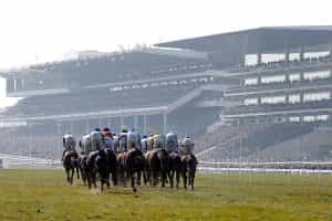 A general view as runners turn into the straight in The Pertemps Network Final at the 2023 Cheltenham Festival.
