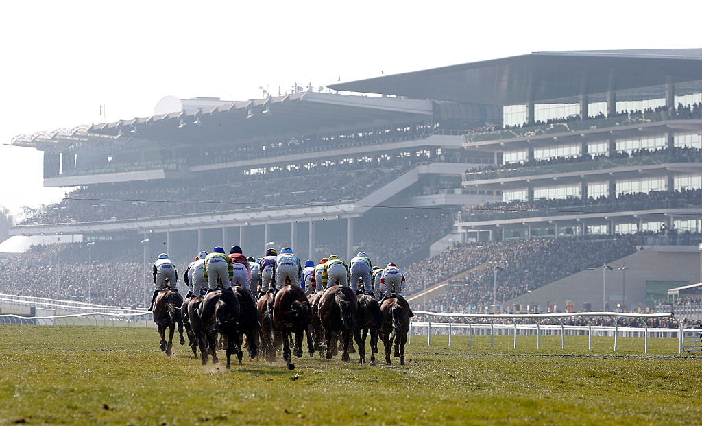 A general view as runners turn into the straight in The Pertemps Network Final at the 2023 Cheltenham Festival.
