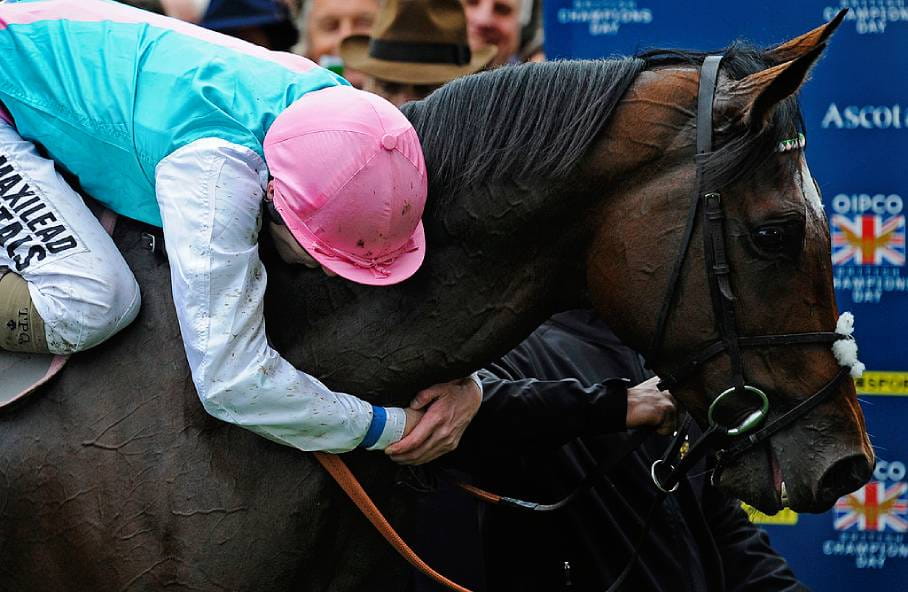 Frankel dipeluk oleh jokinya Tom Queally setelah kemenangan mereka di Taruhan Champions 2012.