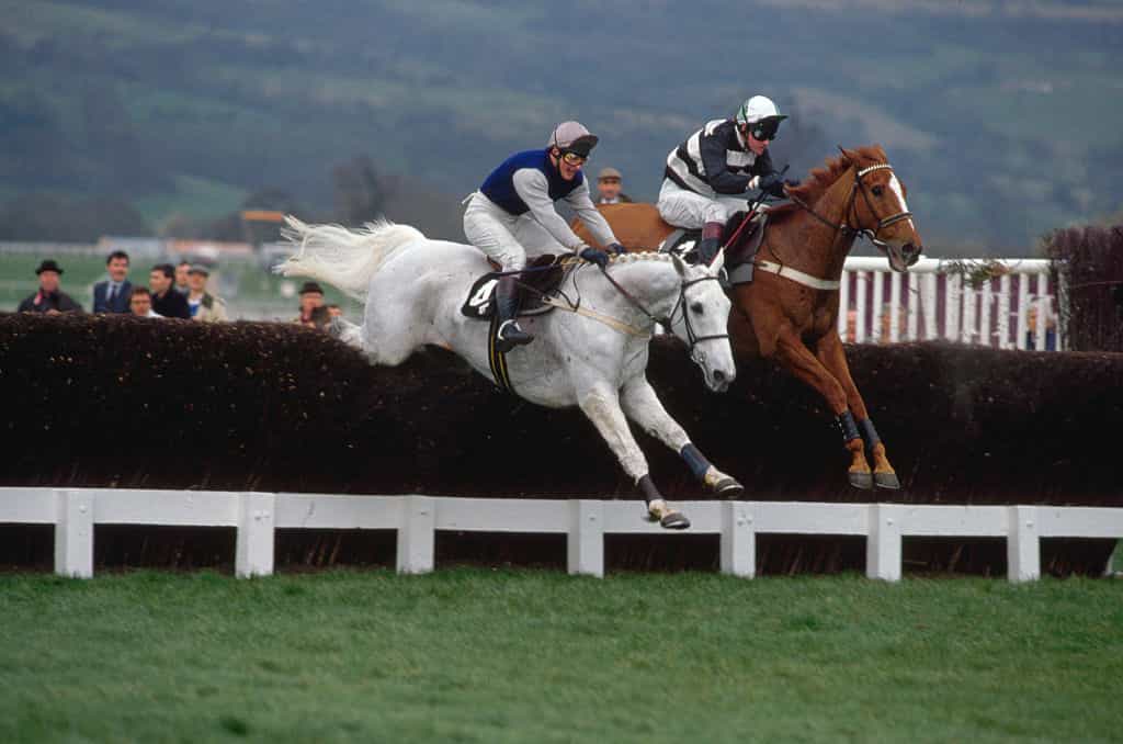 Anggrek Gurun dan Norton Coin membersihkan pagar di Piala Emas Cheltenham 1990.