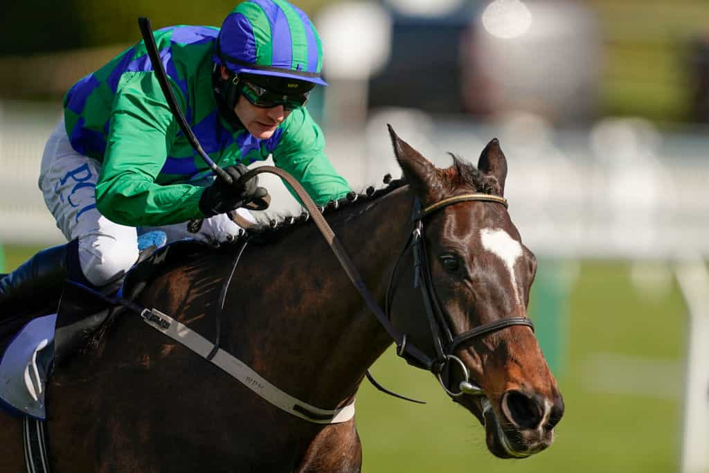 Paul Townend, riding Appreciate It, clears the last to win the Supreme Novices' Hurdle at Cheltenham.