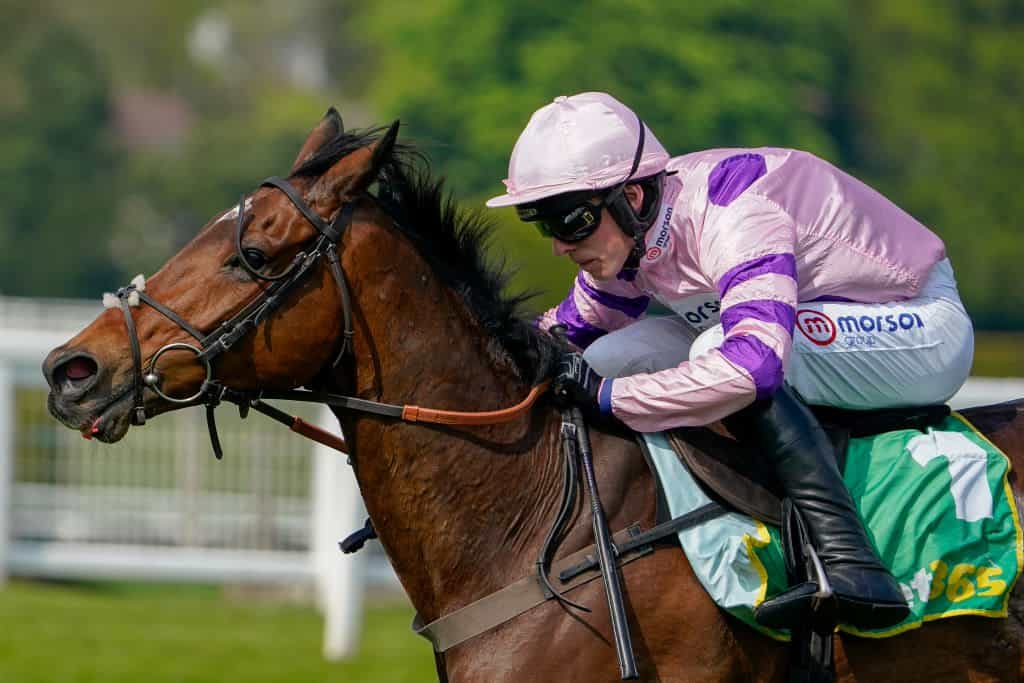 Harry Cobden riding Greaneteen clears the last to win the 2022 Celebration Chase at Sandown Park.